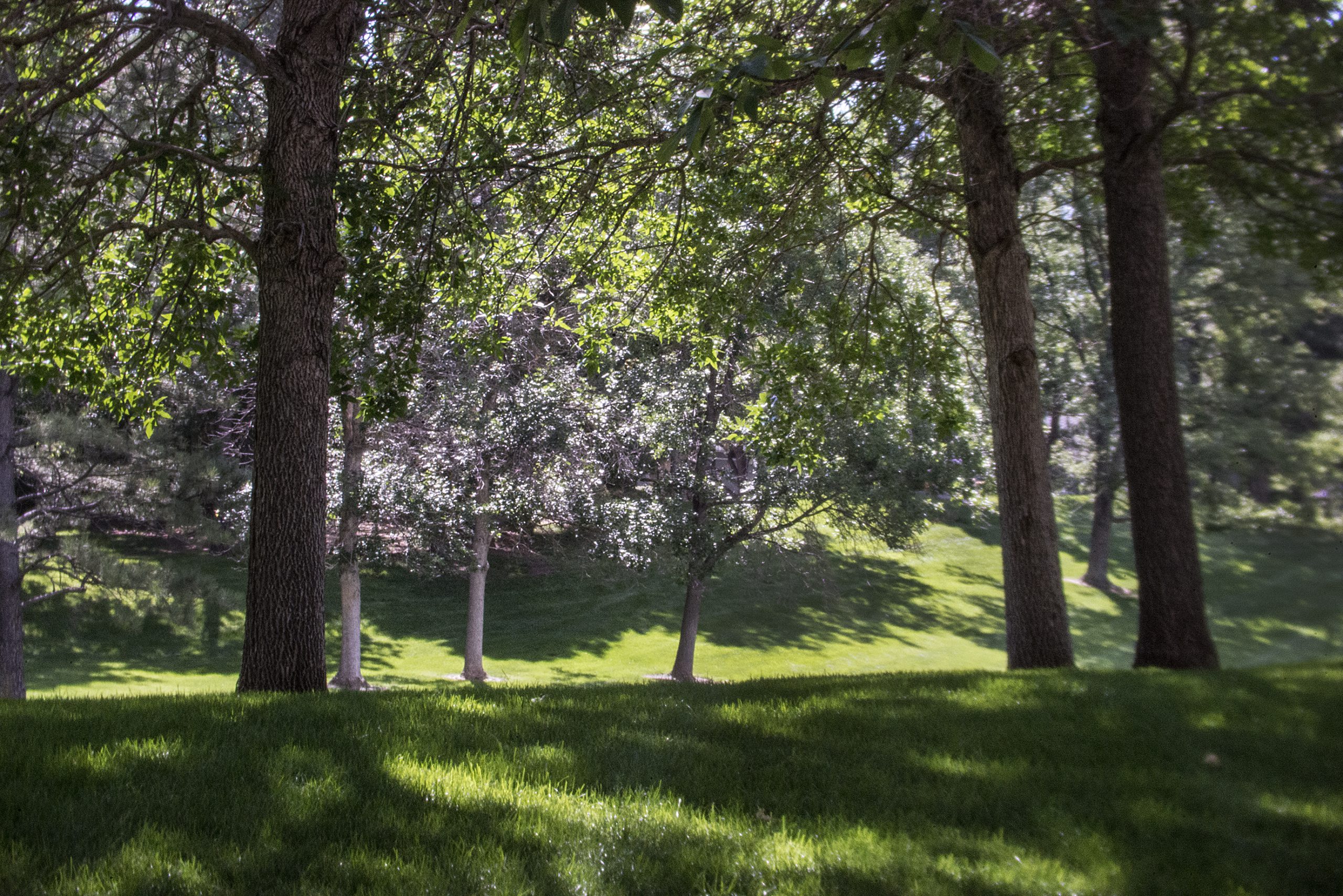 MikroMak Series - Infinity Photo-Optical Company